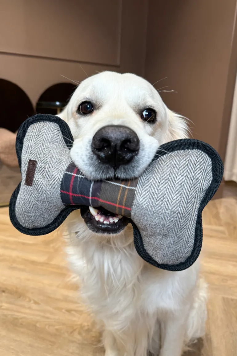 Bone Dog Toy