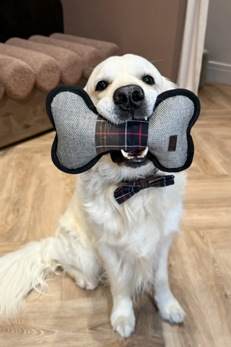 Bone Dog Toy