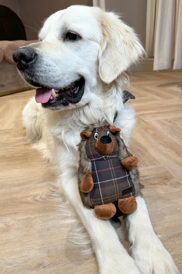 Hedgehog Dog Toy