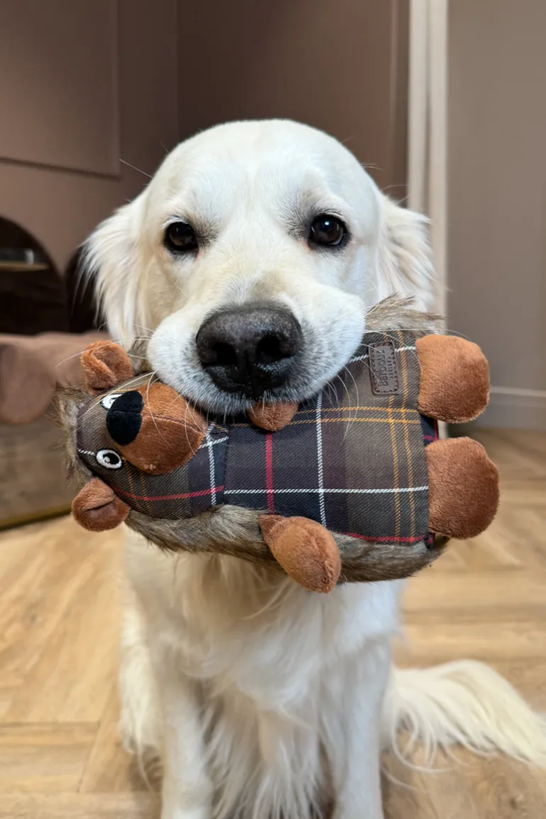 Hedgehog Dog Toy