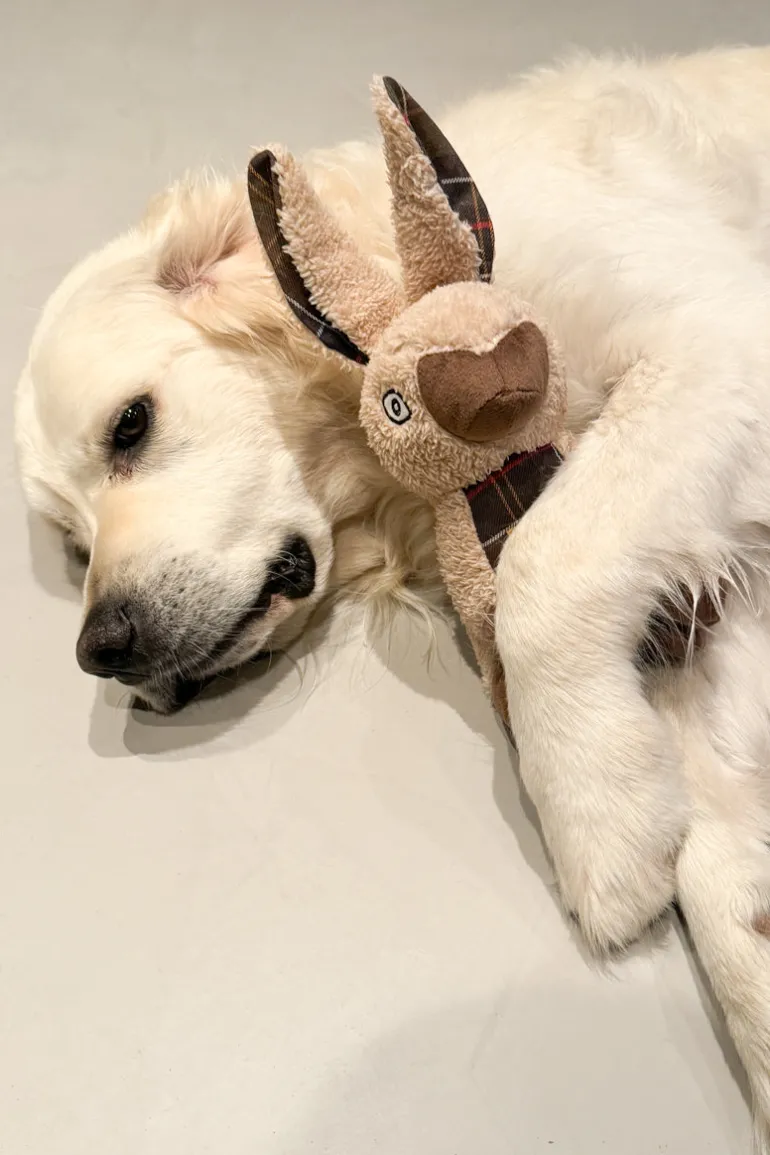 Rabbit Dog Toy