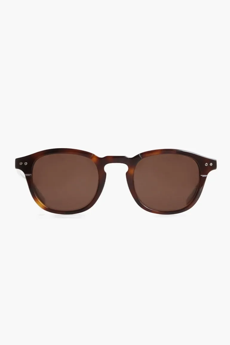 Todd Tortoise Brown